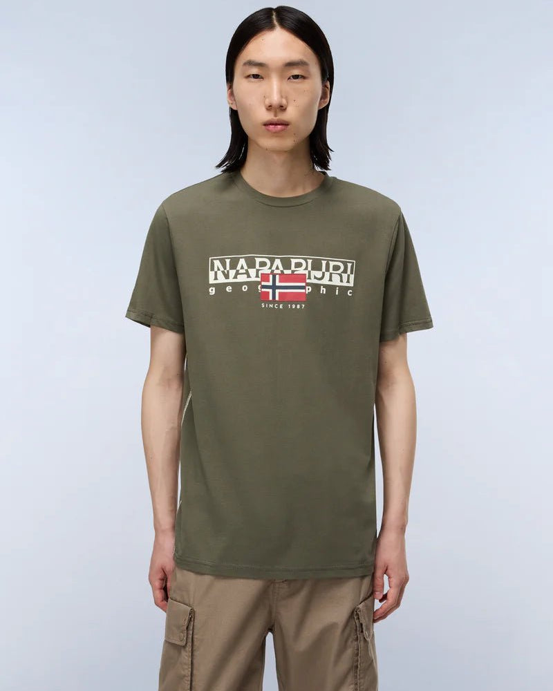 T-shirt a manica corta Aylmer in jersey Verde Tea Leaf Napapijri - Seipuntozerostore