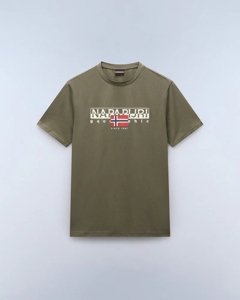 T-shirt a manica corta Aylmer in jersey Verde Tea Leaf Napapijri - Seipuntozerostore